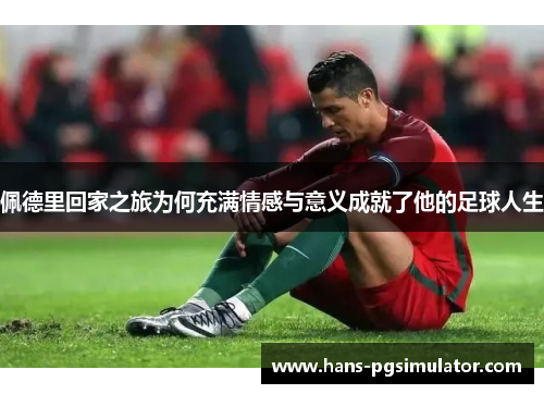 佩德里回家之旅为何充满情感与意义成就了他的足球人生