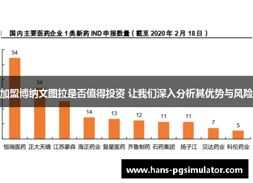 加盟博纳文图拉是否值得投资 让我们深入分析其优势与风险
