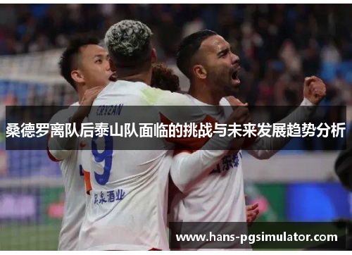 桑德罗离队后泰山队面临的挑战与未来发展趋势分析