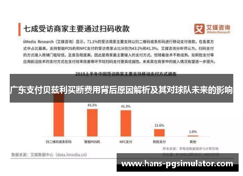 广东支付贝兹利买断费用背后原因解析及其对球队未来的影响