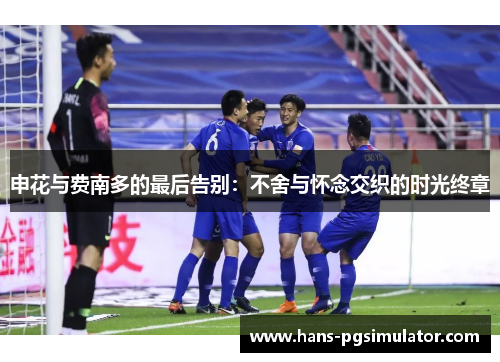 申花与费南多的最后告别：不舍与怀念交织的时光终章